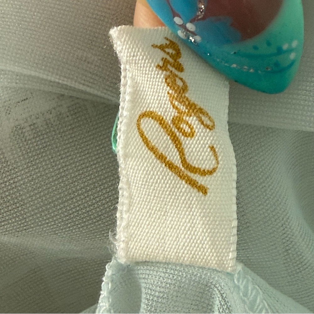 🤍 Rogers Vintage Sheer Peignoir Nightgown Light Blue Embroidered Front & Back 🤍 - Picture 11 of 14